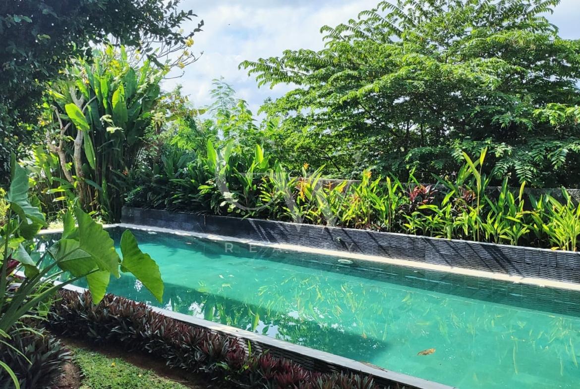 Villa Orista