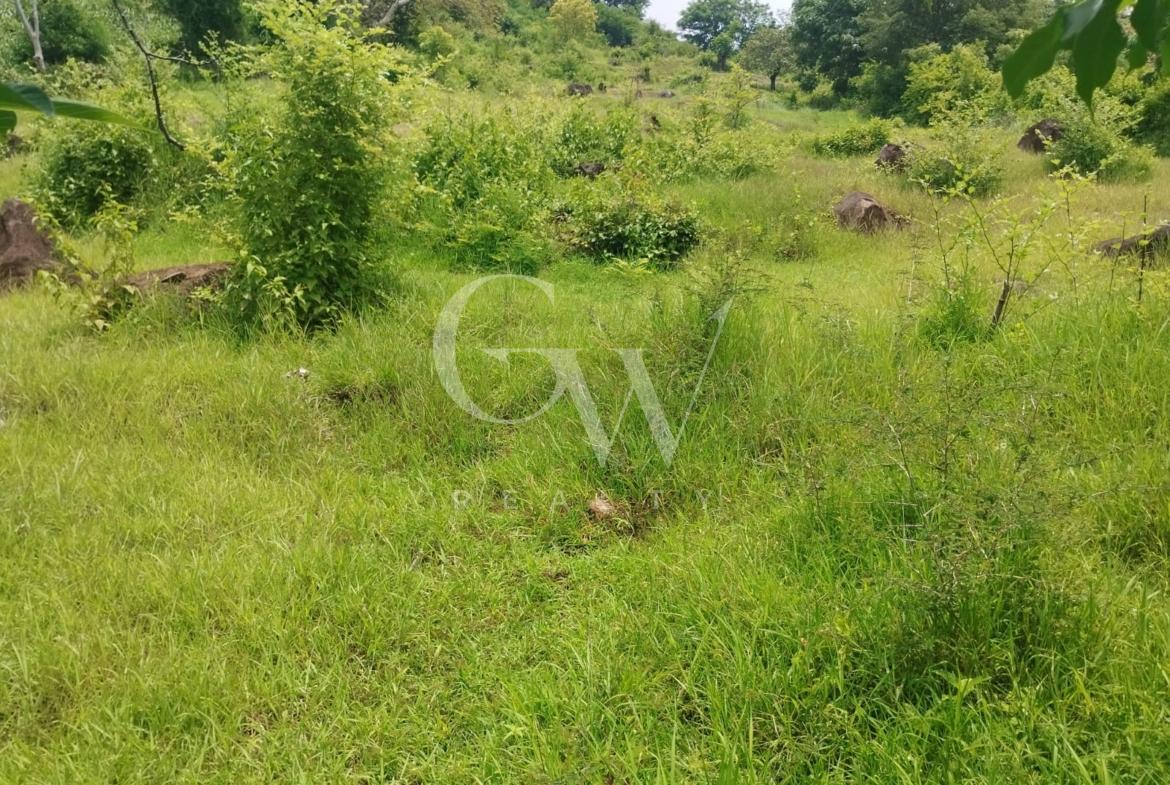 Land in Buleleng Seririt 26 ha
