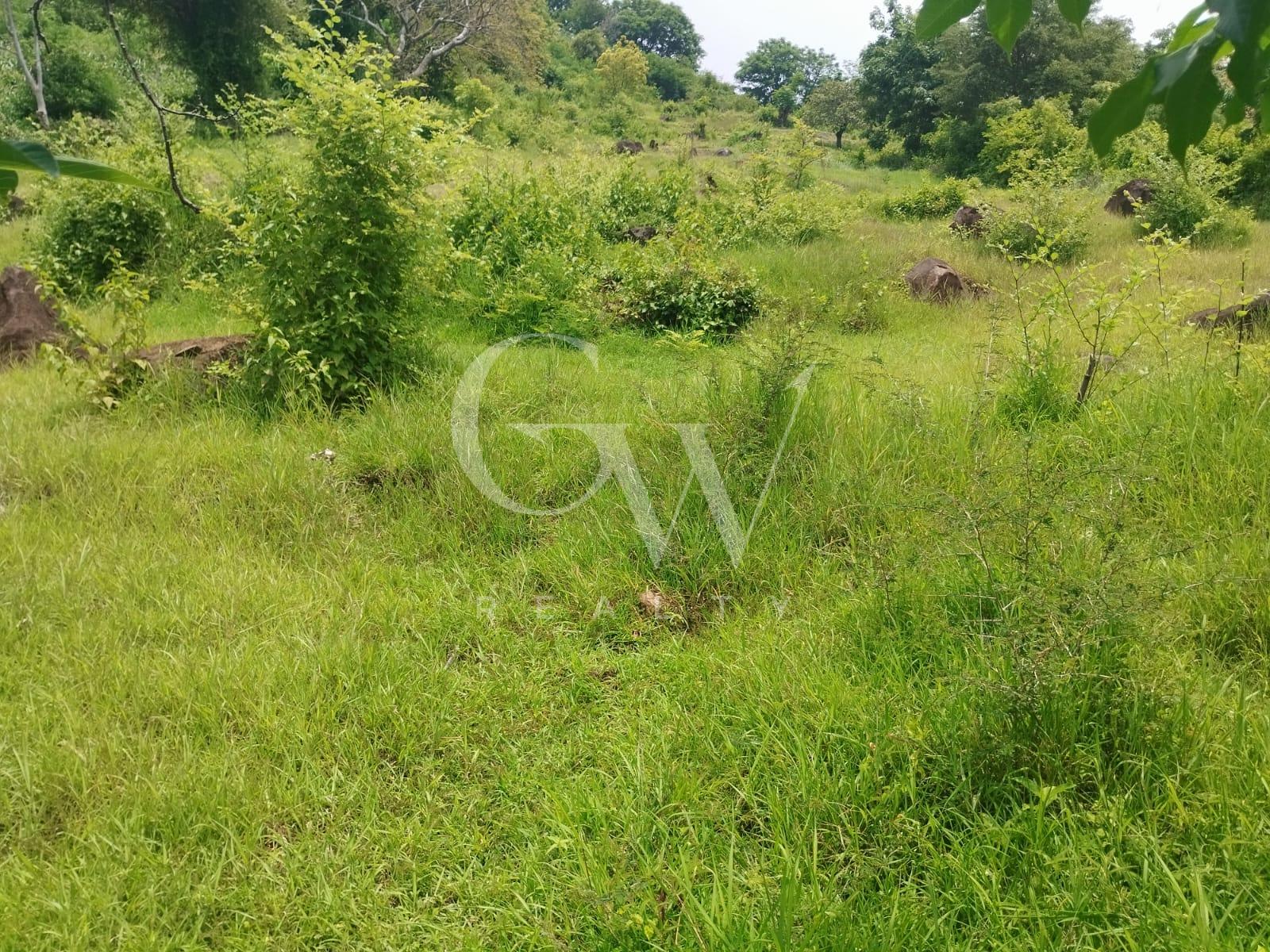 Land in Buleleng Seririt 26 ha