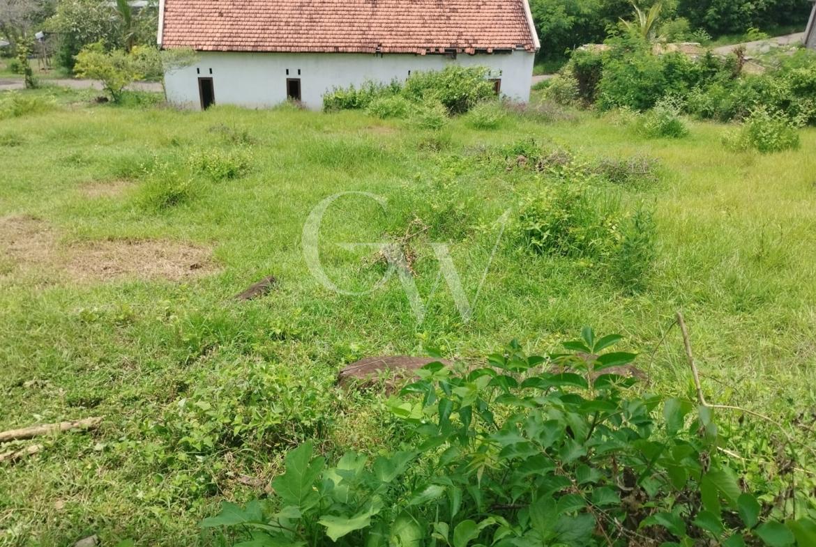 Land in Buleleng Seririt 26 ha