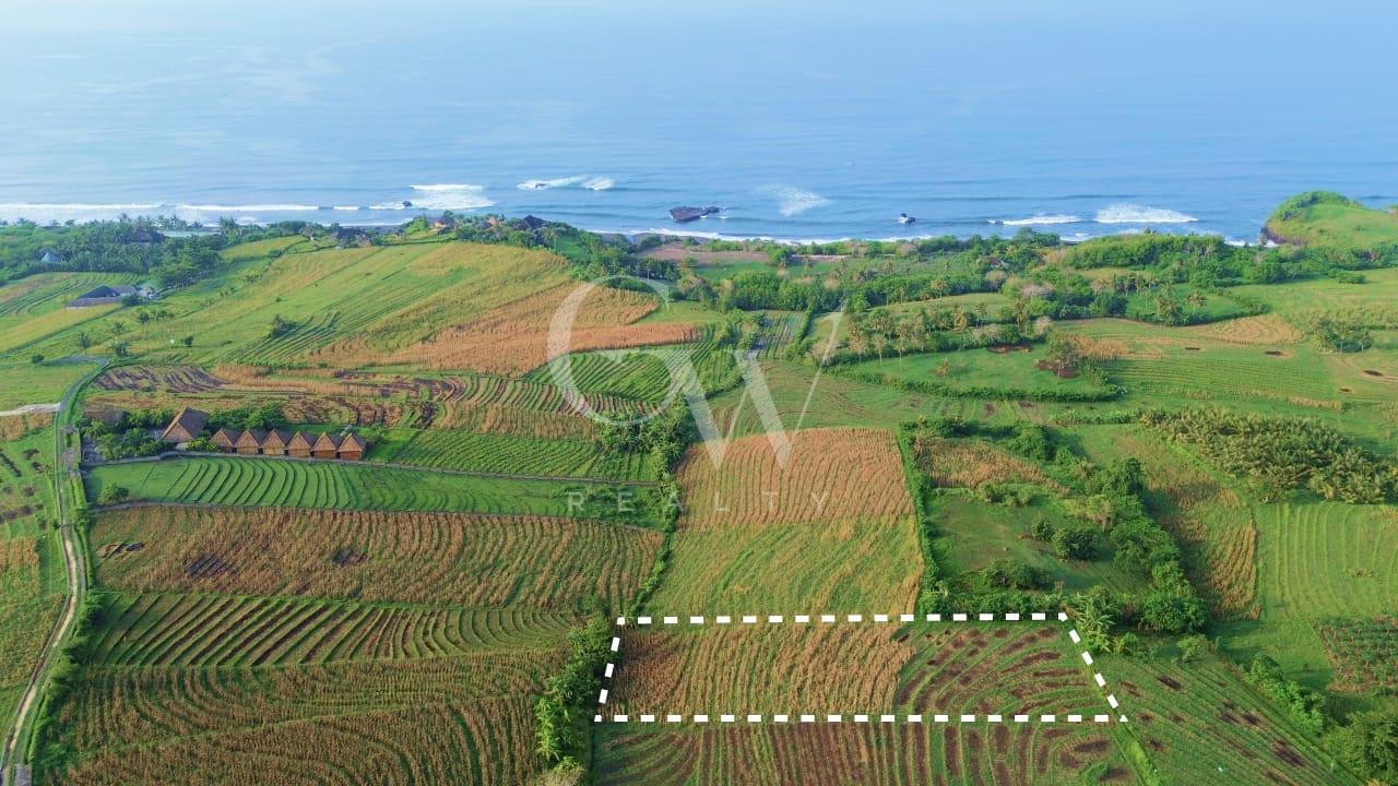 IMG-20260814-WA0001 Land For Sale in Tabanan – 3,500 sqm