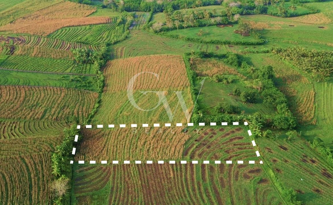 Land For Sale in Tabanan – 3,500 sqm