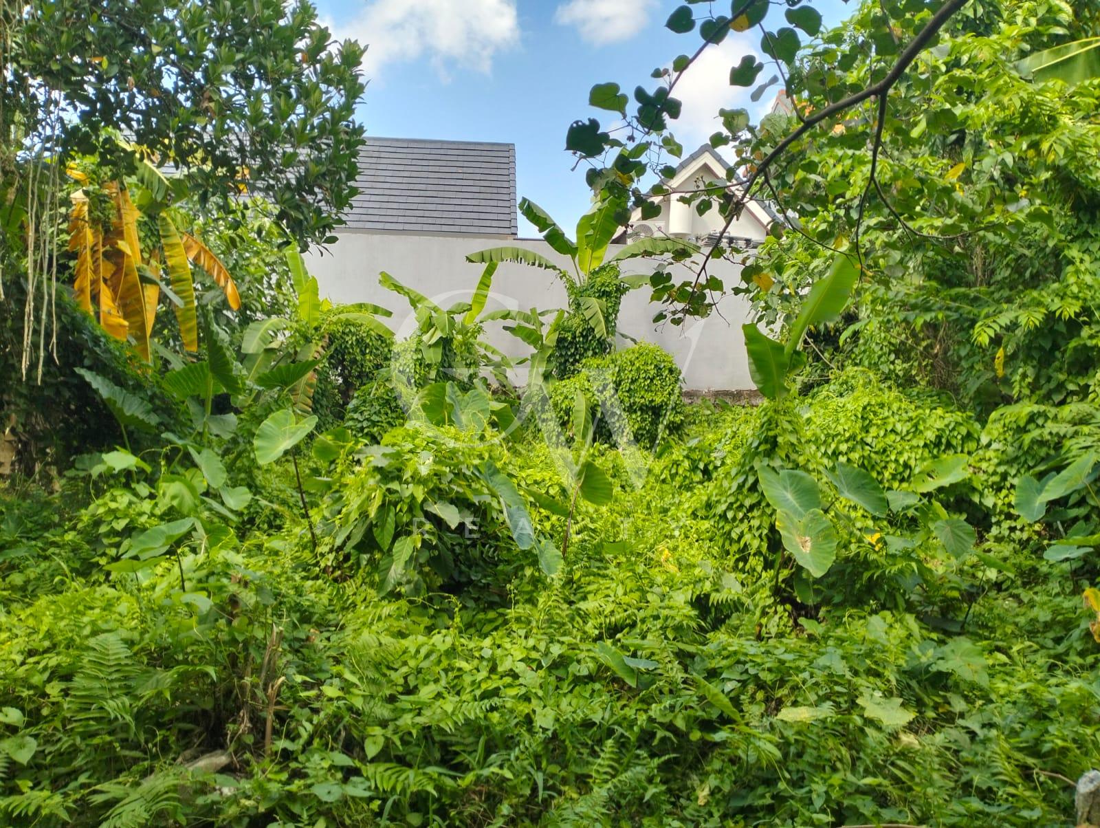 WhatsApp Image 2026-08-13 at 10.32.28 Leasehold Land 400 sqm