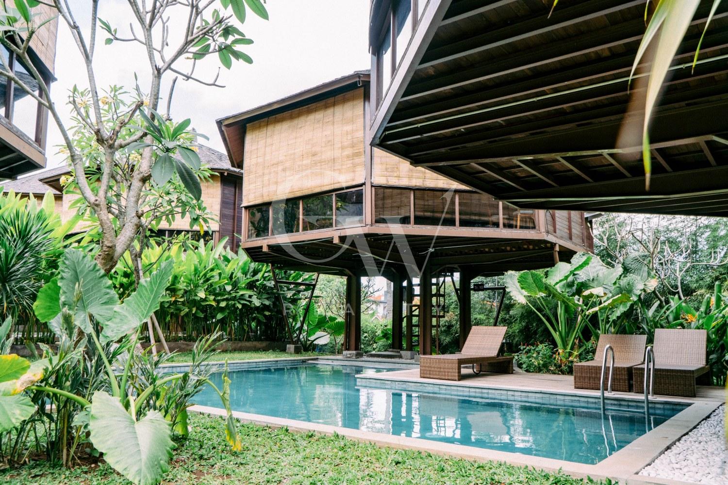 Villa Pohon