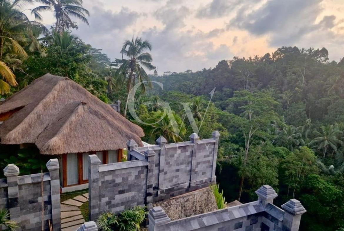 Villa Hutan