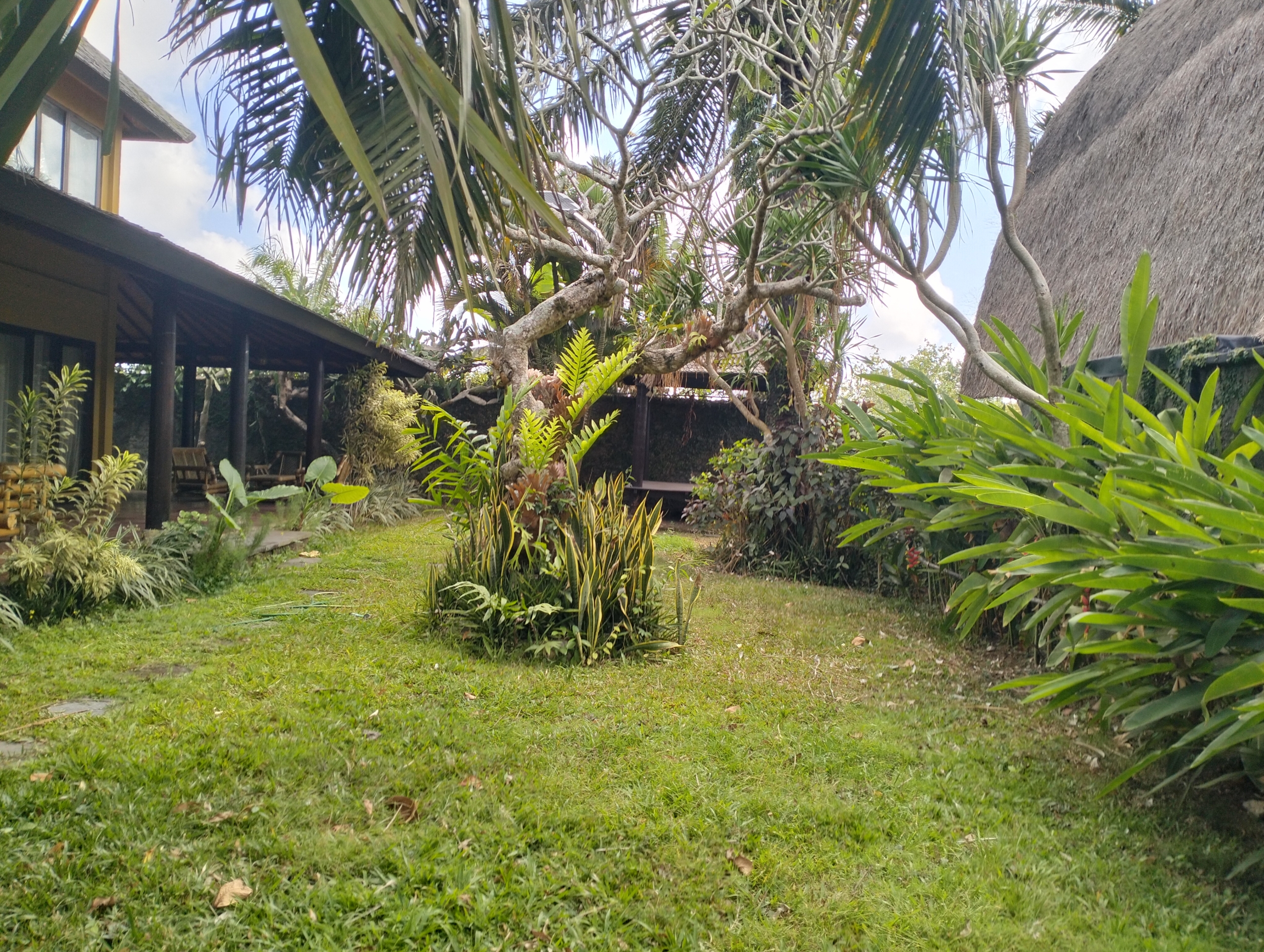 Villa Jungle