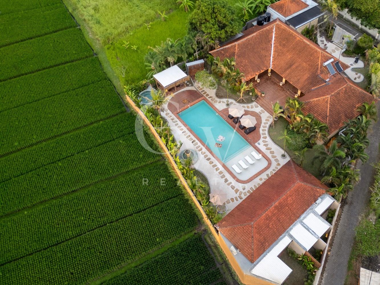 DJI_0525-HDR_1333x1000 Villa Cabanaas